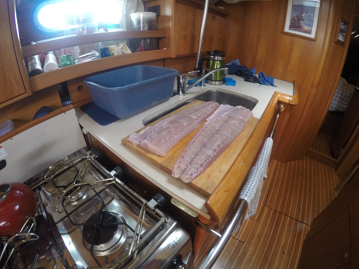 DCIM100GOPROGOPR9632.