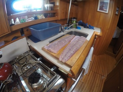 DCIM100GOPROGOPR9632.