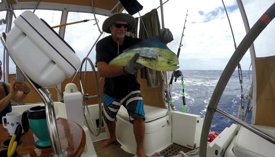 rods mahi 32 inch 7-18